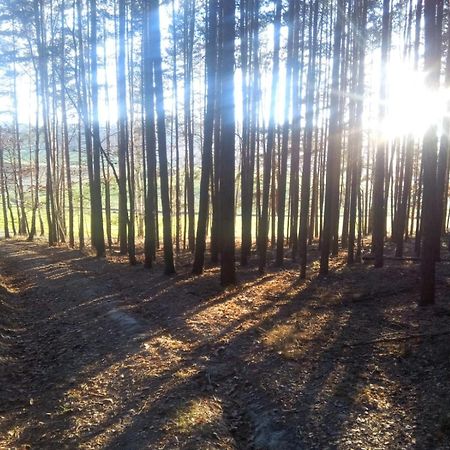 Ferienwohnung Landliebe Рудолщат Екстериор снимка