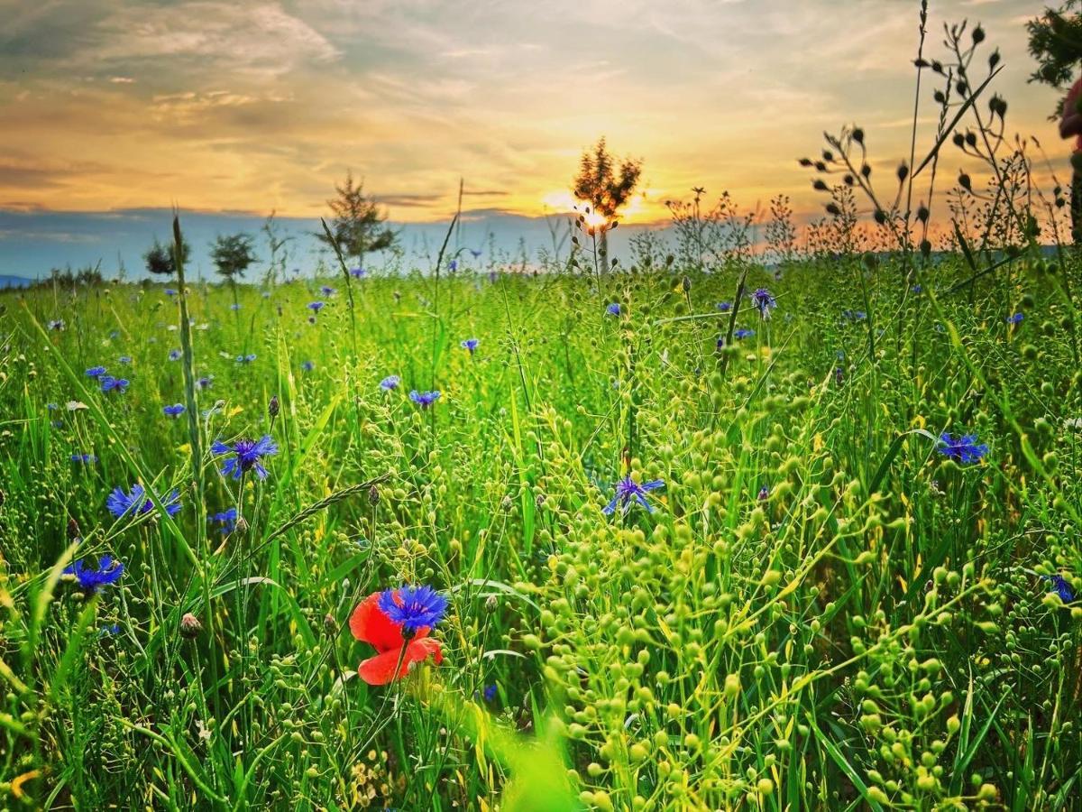 Ferienwohnung Landliebe Рудолщат Екстериор снимка